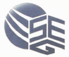 Logo of Surrey Engineering Group LLC